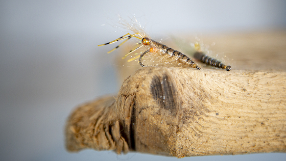 Bindevideo 'Natural Shrimp Fly' für Meerforelle