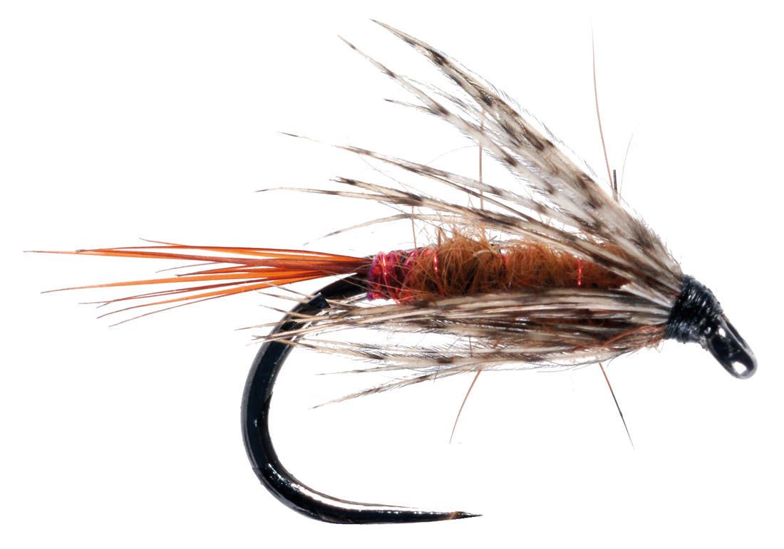Soldarini Fly Tackle Nassfliege - Red Arsed Rusty Brown