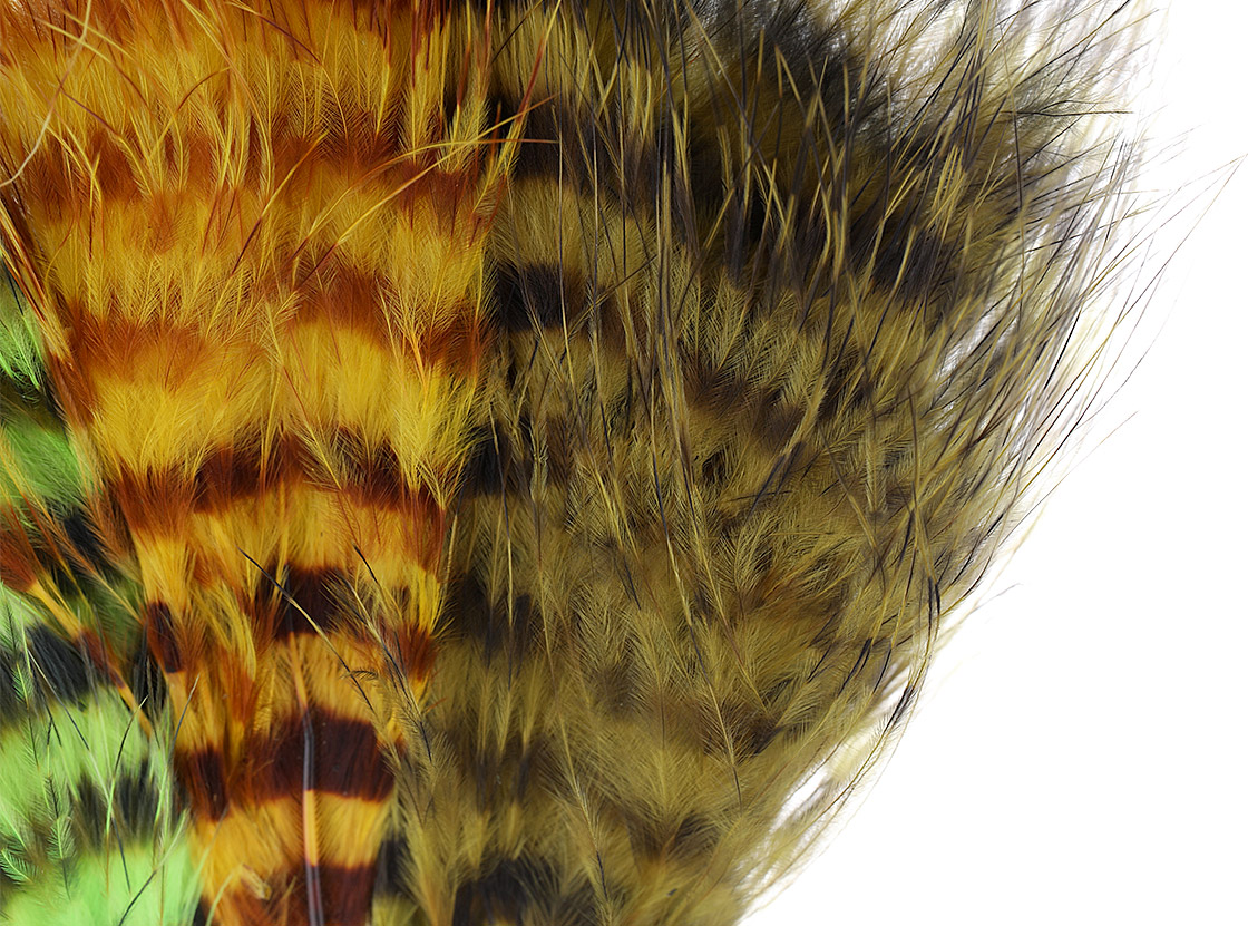 P-27103_MFC_Barred_Marabou_Grizzly_Marabou_Federn_Detail_1