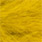 yellow olive