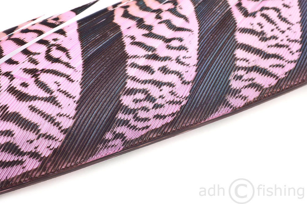 diamantfasan-pink-hi pink