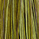 white dyed olive