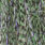 olive uv black barred