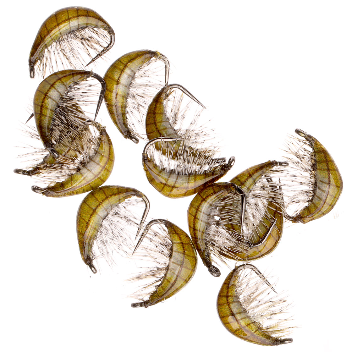 Gammarus_Olive_3