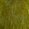 white dyed dark olive