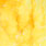 fluo sunburst