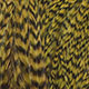 grizzly dyed golden olive