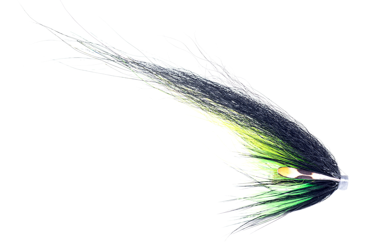 Guideline_Tubenfliege_Hajas_Andersson_Porridge_Pool_LT Guideline Tubenfliege Hajas Andersson Porridge Pool LT