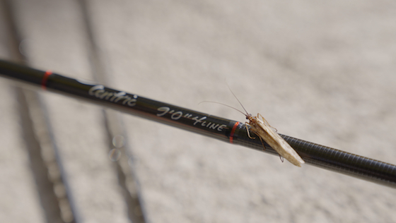 Scott Fly Rod Company - 50 Jahre Handwerkskunst
