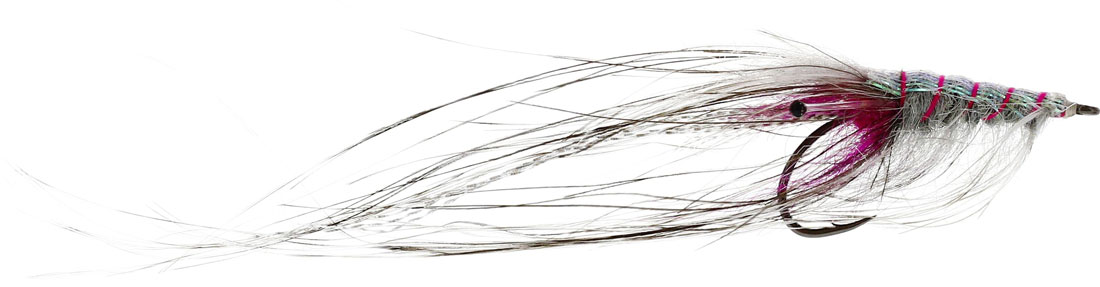 Beispiel Fliege