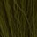 dark olive