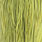 white dyed olive