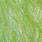 chartreuse mottled