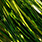 3207 mint