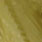 white dyed golden olive