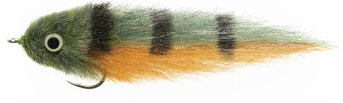 Enrico Puglisi DORADO - BABY PEACOCK