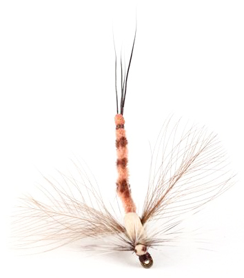 Guideline Trockenfliege - Danica Spent Spinner