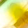 ayu head