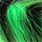 chartreuse/black