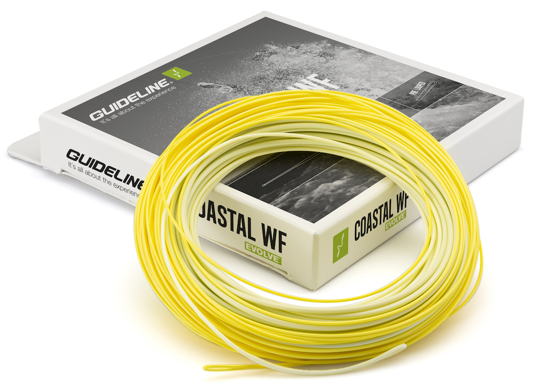 Guideline-Coastal-Evolve-WF-Float