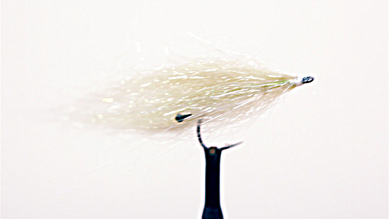 Bindevideo: Polar Shrimp