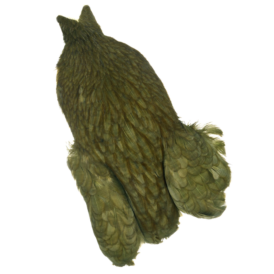P-25373-23_Whiting-4-B-s-Hen-Cape_white-dyed-dark-olive white dyed dark olive