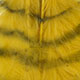 yellow/barred black