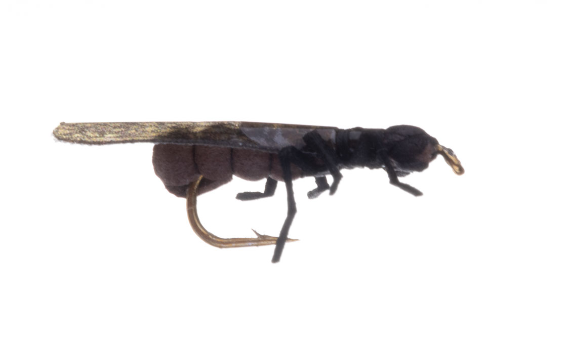 P-15621_Vania-Realistic-Mini-Stonefly-Black