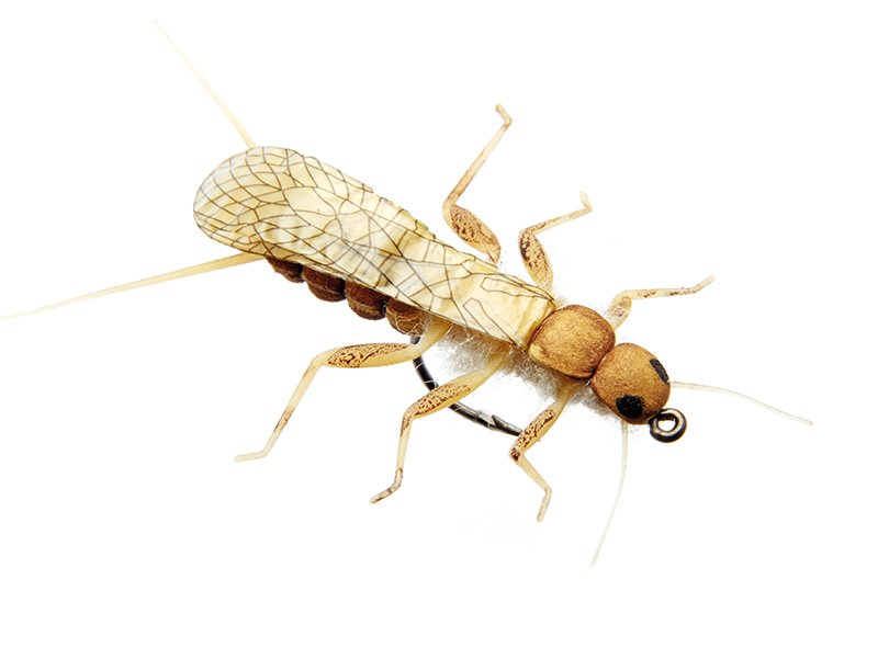 J:son Realistic Flies - Stonefly Adult golden