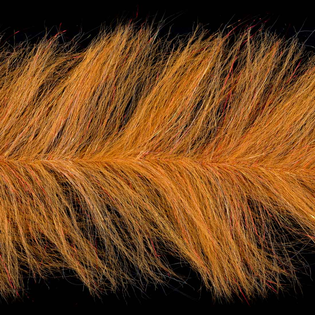 bleeding orange