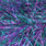 holo purple/green
