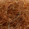 brown peacock
