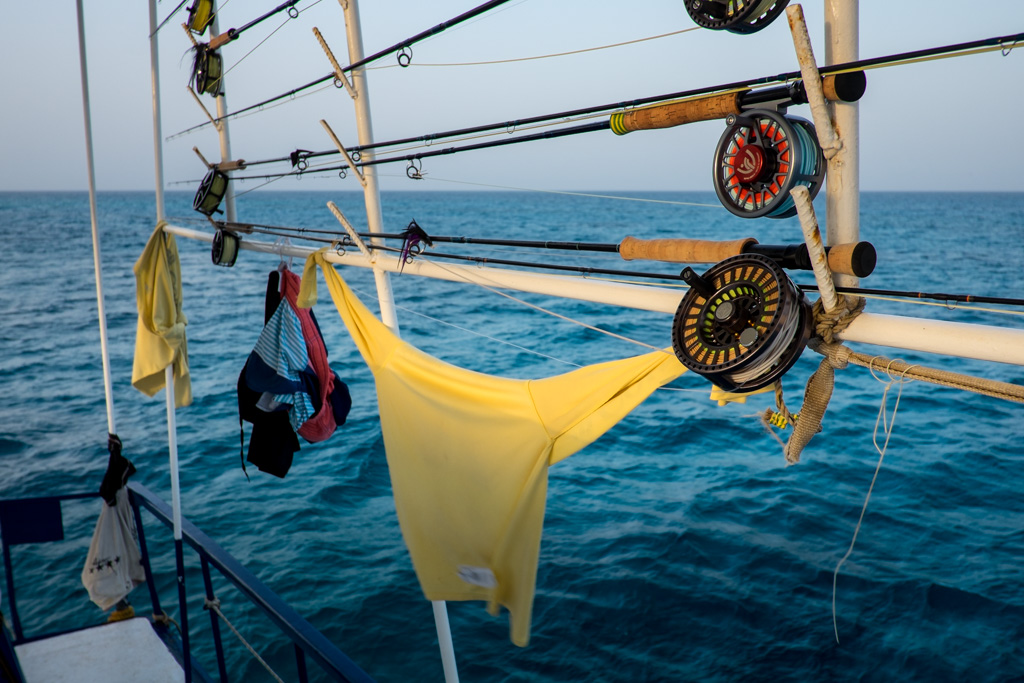 sudan2015-13 - Fliegenfischen auf den Nubischen Flats