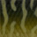 pike
