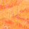 competition sunburst