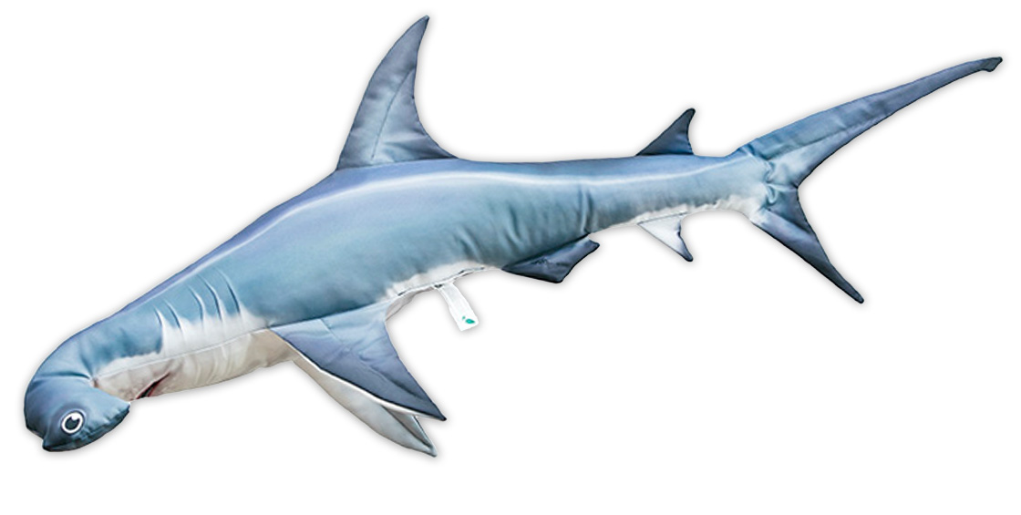 P-29205_Fischkissen_Kuscheltier_Hammerhai_110cm_ganz Fischkissen Kuscheltier Hammerhai 110cm