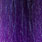 black to dark purple