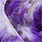 TSR 11 purple/black over white