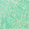 caddis green