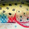 rainbow trout