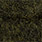 dark olive