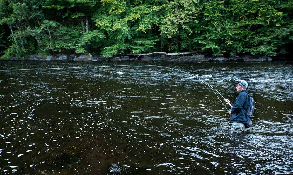 moerrum-trip-7 - Mörrum: Zwischen Fischern und Lachsen