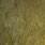 white dyed dark olive