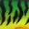 crazy firetiger