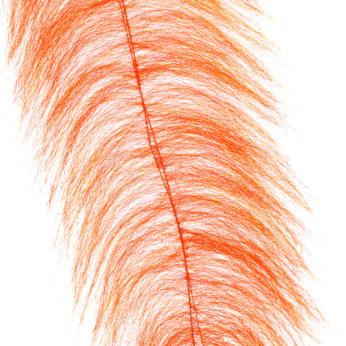 brilliant orange