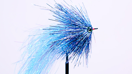 Bindevideo: Flash Fliege Bindevideo: Flash Fliege