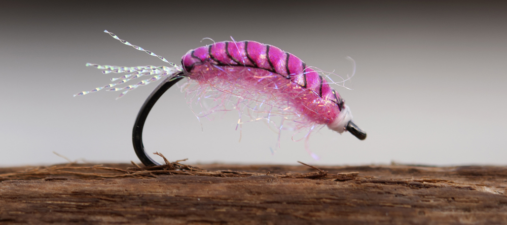 Ahrex_Curved-Shrimp_hook_fly Bindebeispiel