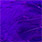 purple white