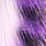 white/purple