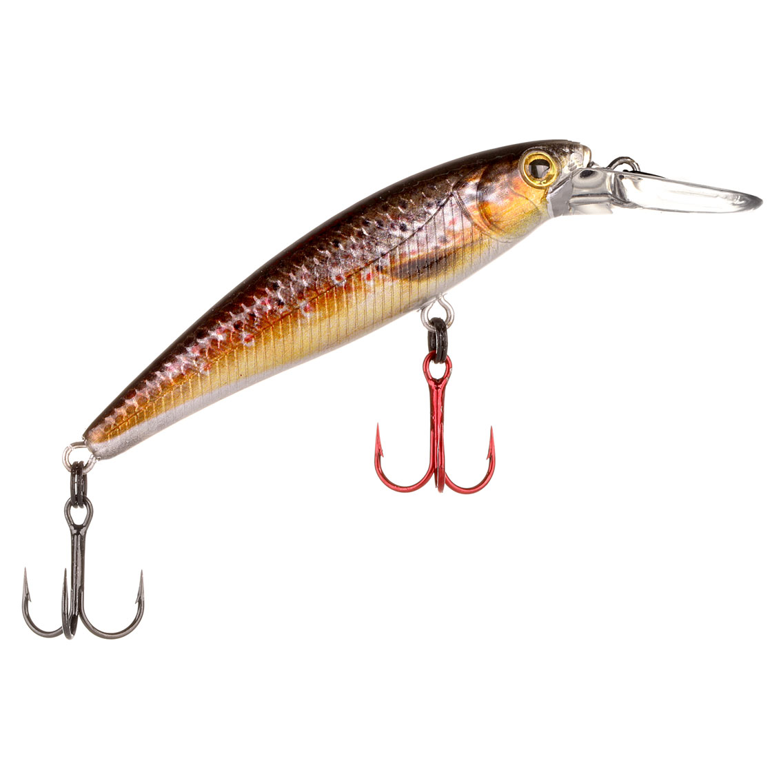 brown trout